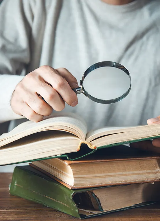 Image hover effect image