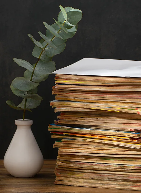 Image hover effect image